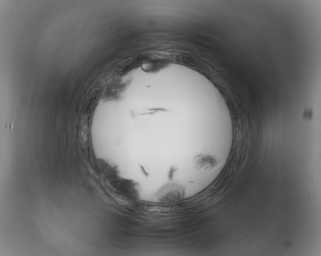 X0000111230749200907021023
