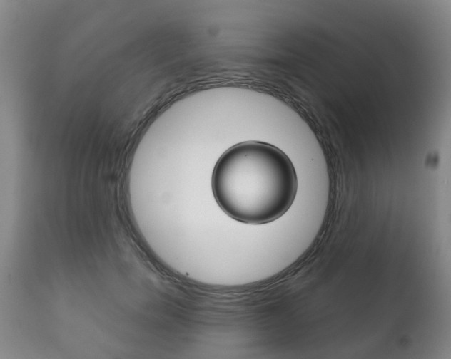 X0000111230750200907021023