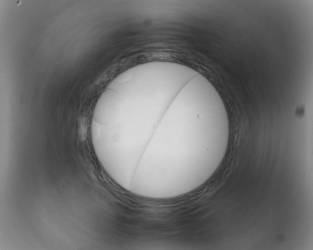 X0000111230751200907021023