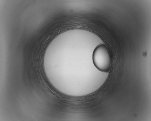 X0000111230752200907021023