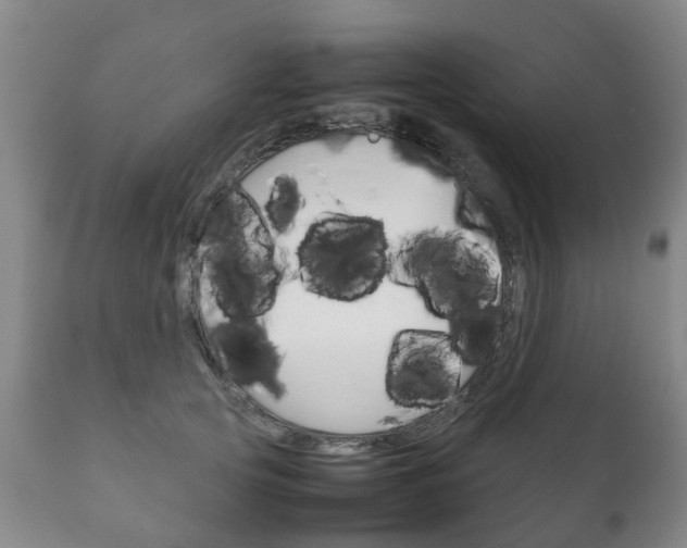 X0000111230753200907021023