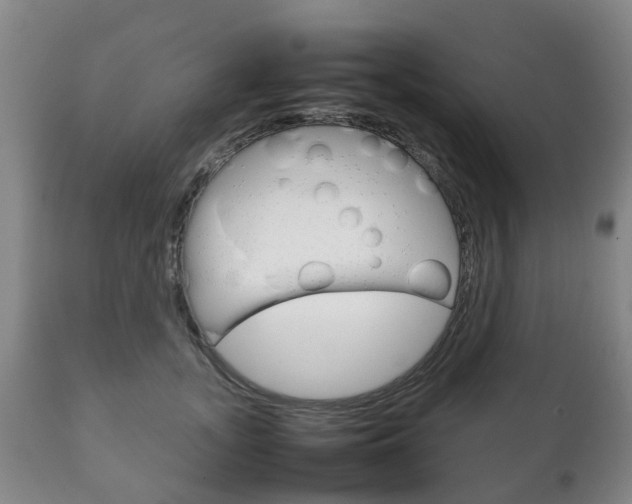 X0000111230755200907021023