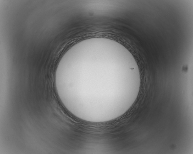 X0000111230756200907021023