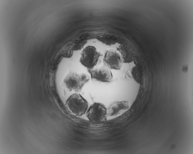 X0000111230757200907021023