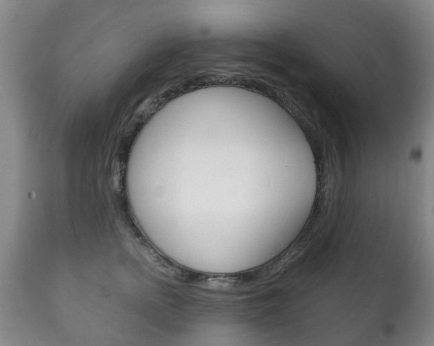 X0000111230758200907021023