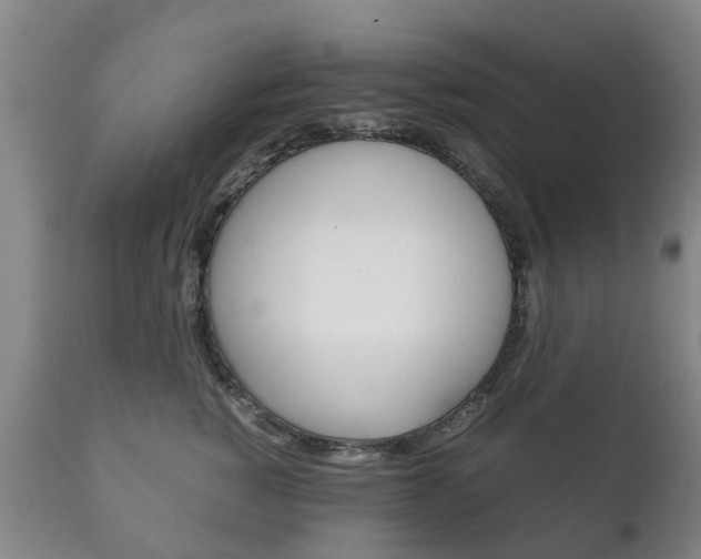 X0000111230760200907021023