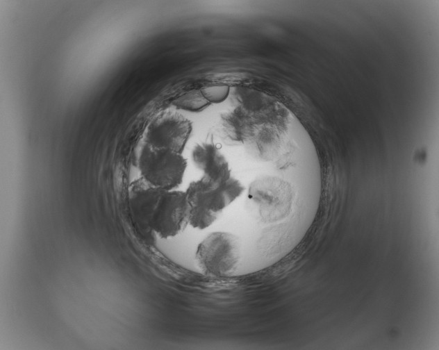 X0000111230761200907021023