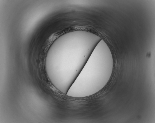 X0000111230763200907021023