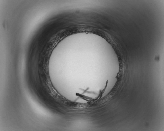 X0000111230764200907021023