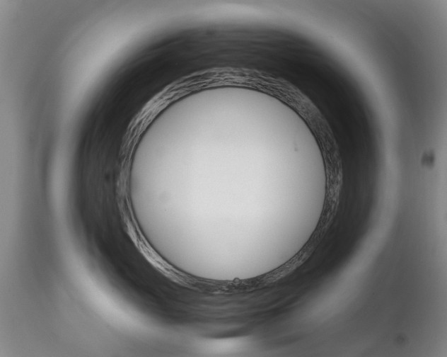 X0000111230765200907021023