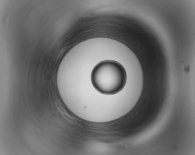 X0000111230766200907021023