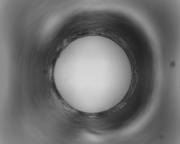 X0000111230767200907021023