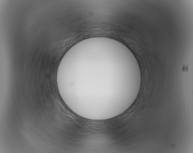 X0000111230768200907021023