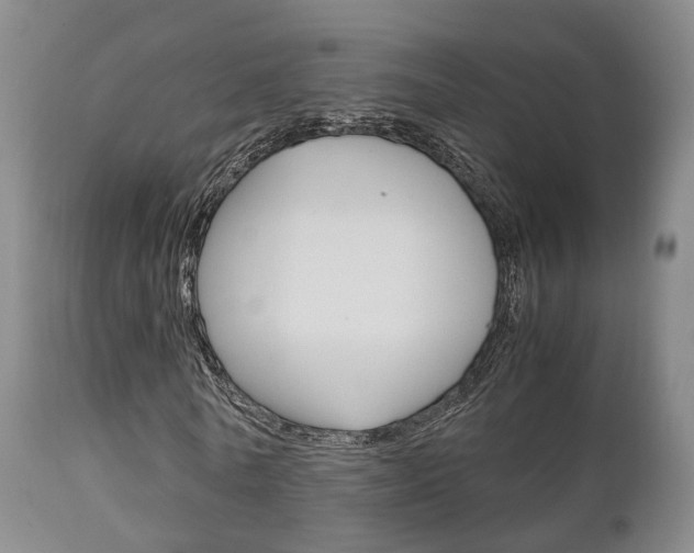 X0000111230770200907021023