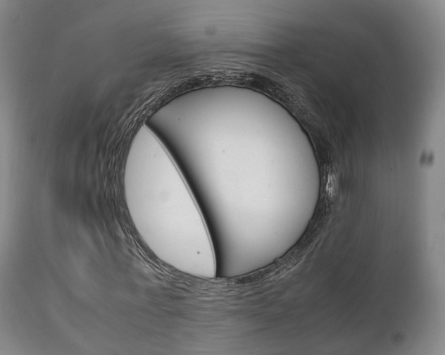X0000111230771200907021023