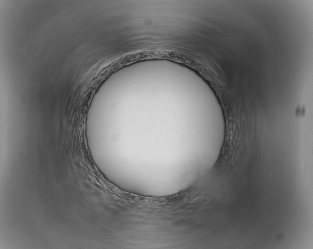 X0000111230773200907021023