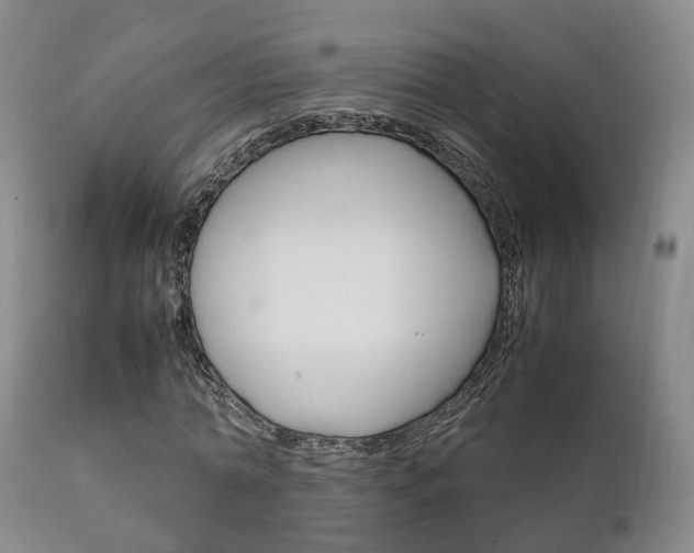X0000111230774200907021023