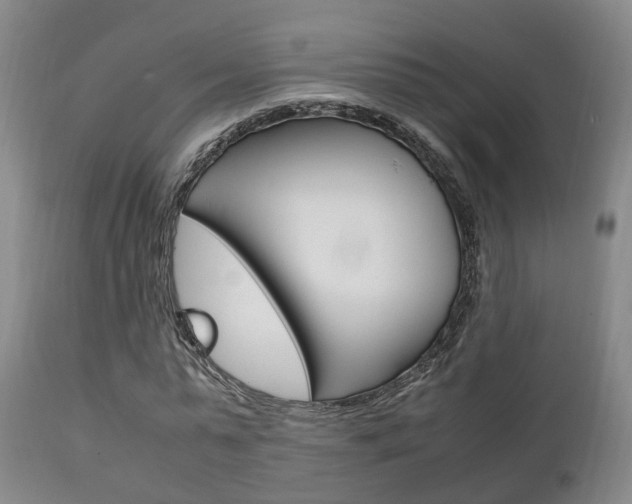 X0000111230775200907021023