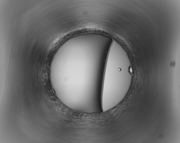 X0000111230776200907021023