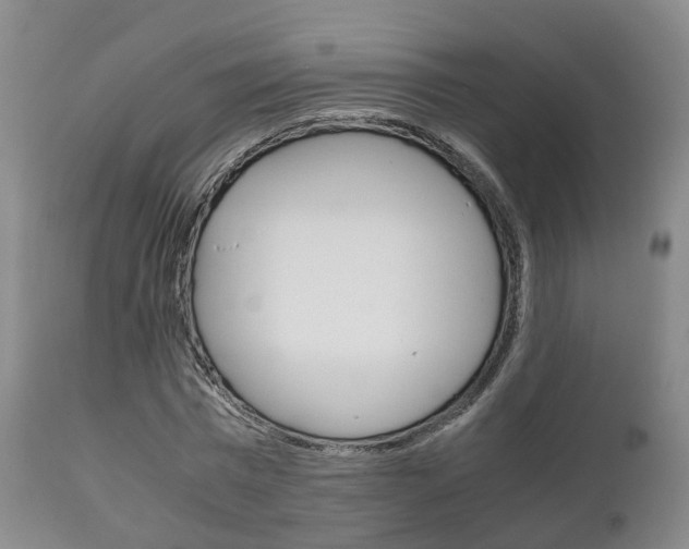 X0000111230777200907021023