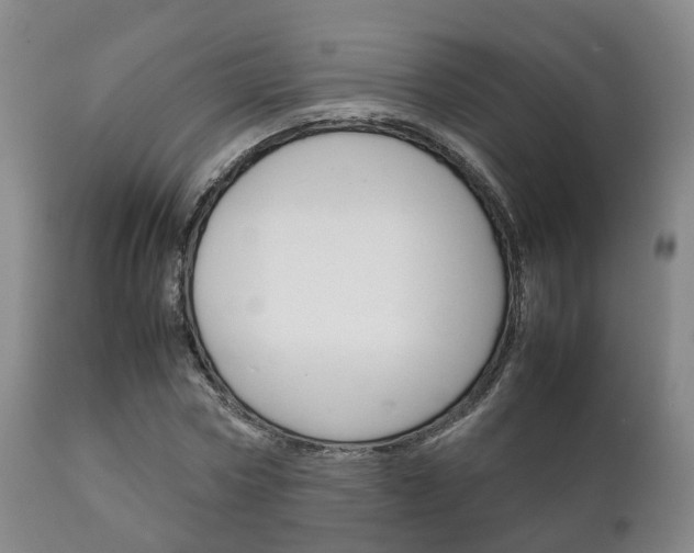 X0000111230778200907021023