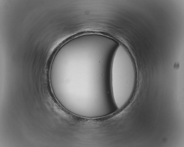 X0000111230779200907021023