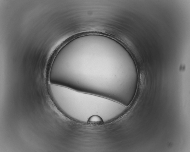 X0000111230780200907021023