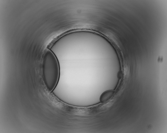 X0000111230781200907021023