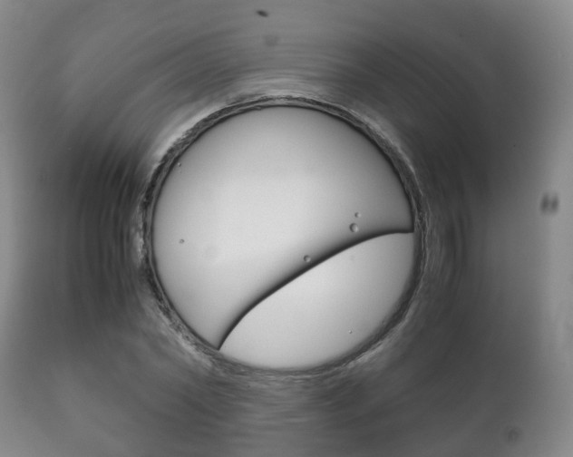 X0000111230782200907021023