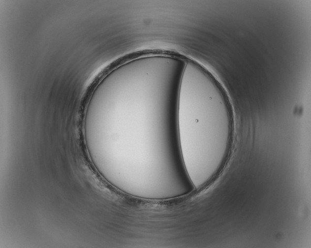 X0000111230783200907021023