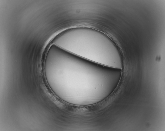 X0000111230784200907021023