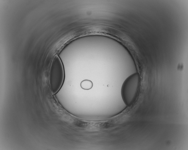 X0000111230785200907021023