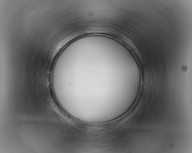 X0000111230786200907021023