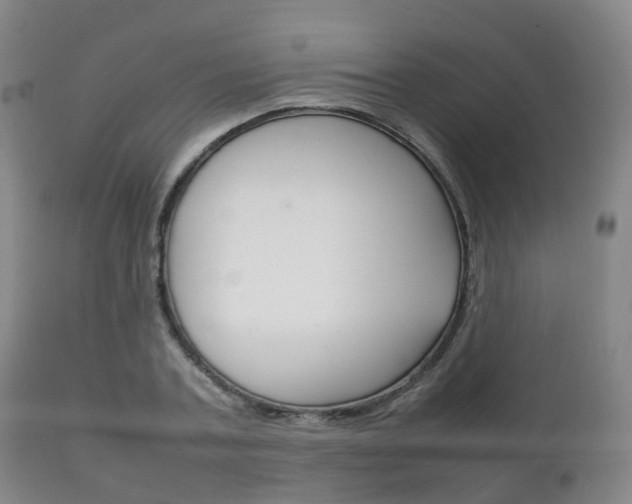 X0000111230787200907021023