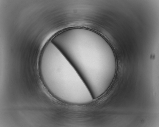 X0000111230788200907021022