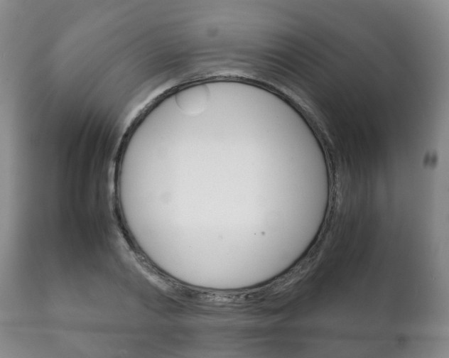 X0000111230790200907021022
