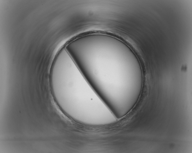 X0000111230791200907021022