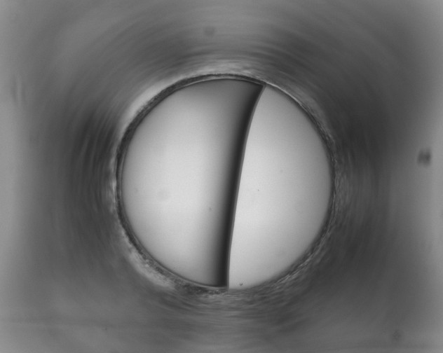 X0000111230792200907021022