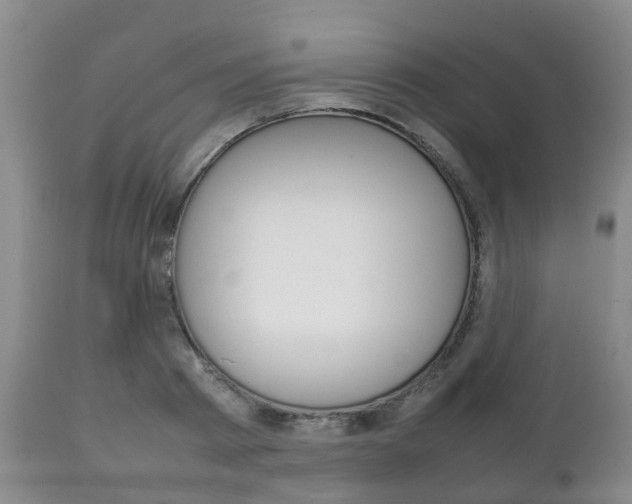 X0000111230793200907021022