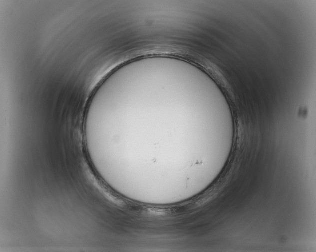 X0000111230794200907021022