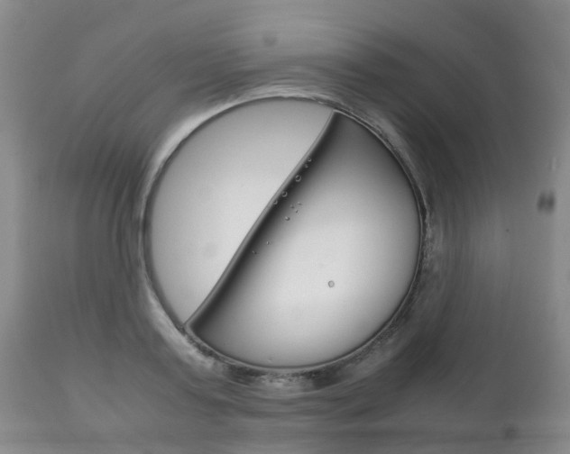 X0000111230795200907021022