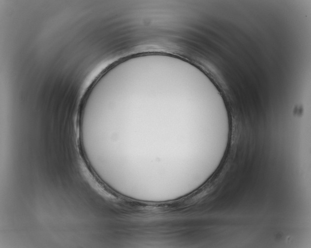 X0000111230796200907021022
