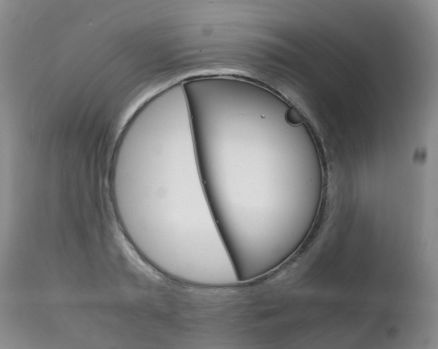 X0000111230797200907021022