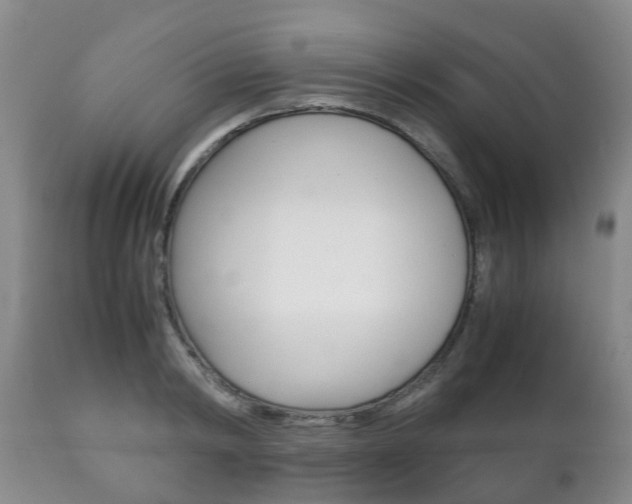 X0000111230798200907021022