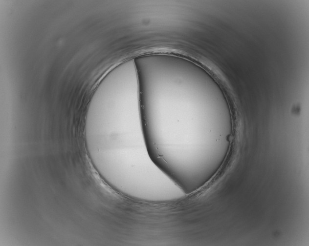 X0000111230801200907021022