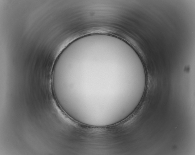X0000111230802200907021022