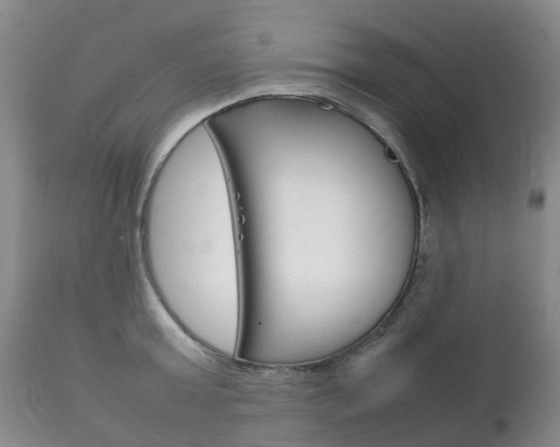 X0000111230803200907021022