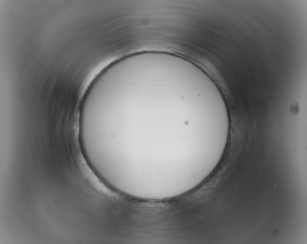 X0000111230804200907021022