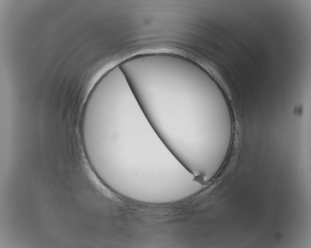X0000111230805200907021022