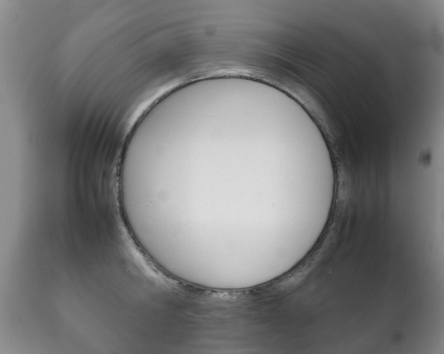 X0000111230806200907021022